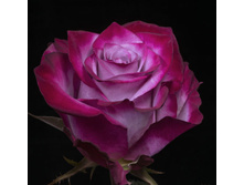 ��� ����� ��� 160� 2��.jpg