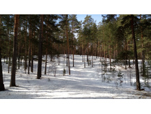 IMG 20180408 101654.jpg