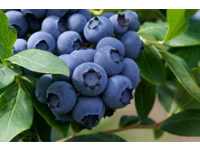 ������� �2 322�  �5 464�