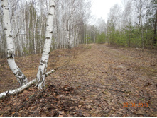 DSCN3853.JPG