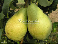 ����� ���� ������� �������� �4 500�  �7  560�