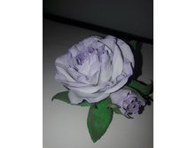 ������� 250�