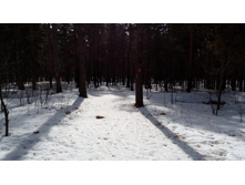 IMG 20180408 101825.jpg