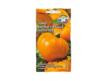 ����� ������ �������