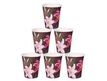 ������ �������� "�����" 250 �� (����� 6 ��)������ �������� "�����" 250 �� (����� 6 ��) ������ ����������; �����; 7,5 �� × 8,5 ��; ������; � ����� 500 �������. ���.: 1652825 14.80 ���.