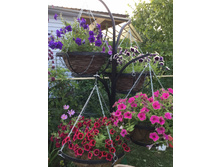 ������� ������