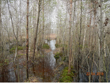 DSCN3856.JPG