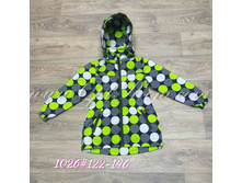 R-1026-Z �������� Reime.jpg