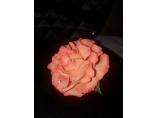 ��������� ��� ����� 150 �