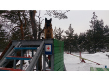 IMG 20180128 114845.jpg