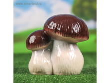 ������� ������ "�������", ���������