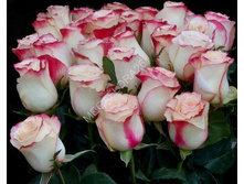 �������� ��� 160� 10��.jpg