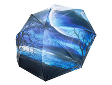 Zont-zhenskiy-217-dolphin-trost-mekhanika-zont-naoborot 4.jpg