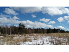 IMG 20180407 132424.jpg