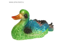 ������� ������ "����" �����, ����