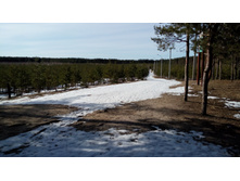 IMG 20180408 085852.jpg