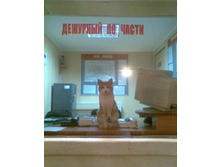 �������� �� �����