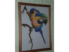 �������