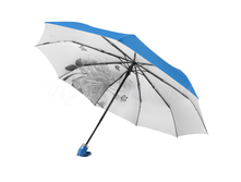 Zont-zhenskiy-832-diniya-3-slozh-s-a-tsvety-vnutri-serebro 21.png