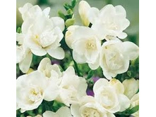 ������ �������� �����, � �������� 12 ��, ���� 85 ������.jpg