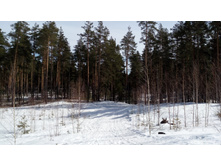 IMG 20180408 105716.jpg