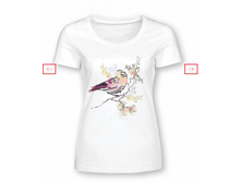 DFT6612 �������� �������.png