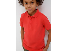 20110110102   Zweig   ����������(������).jpg