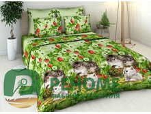 ��� ���� �������� (����� ��������)4313-1 ������.jpg