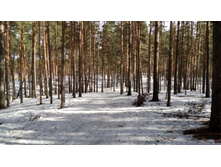 IMG 20180408 105405.jpg