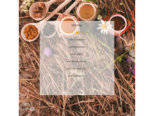 Katalog produktsii TENTORIUM 02 2016 18.jpg