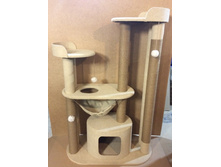 �������� ��� ����� "����"