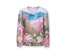 DFN6703 ������� �������.png