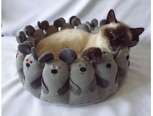 ������� ��� ����� "�����"