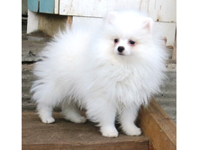 ������ ���� 004.JPG