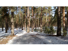 IMG 20180408 094520.jpg