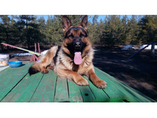 IMG 20180415 090049.jpg