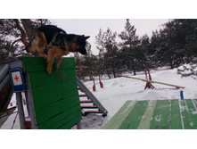 IMG 20180128 114910.jpg