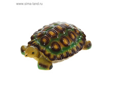 ������� ������ "�������� �����"