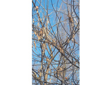 20180310 141121.jpg