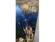 WP 20180425 13 25 49 Pro.jpg