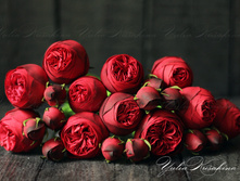 ����� 110� 9��.jpg