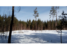 IMG 20180408 105618.jpg