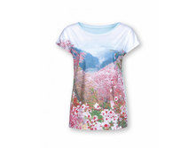 DFT6703-1 �������� �������.png