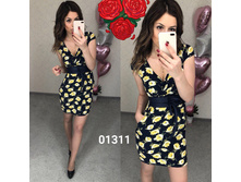 ������ 01311