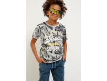 20110110109   Selinger   ������-�����(������).jpg