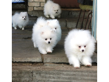 ������ ���� 011.JPG