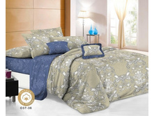 ���������� ����� �� ������� ���.RP-259.jpg