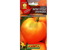 ����� ������ ���������