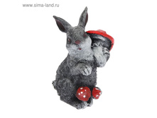 ������� ������ "������ ��������� � ���������"