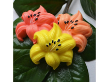 60 ���. 1 ��.